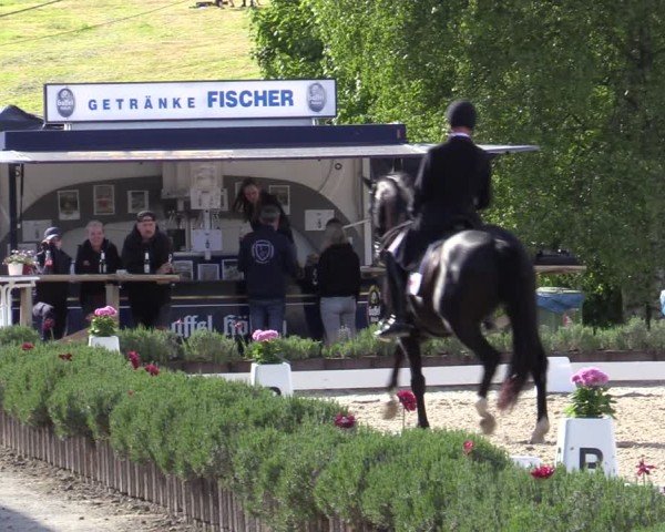 Reitturnier Lindlar - Reitanlage Dückers 2025