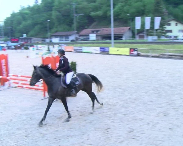 Reitturnier Schüpfheim 2025