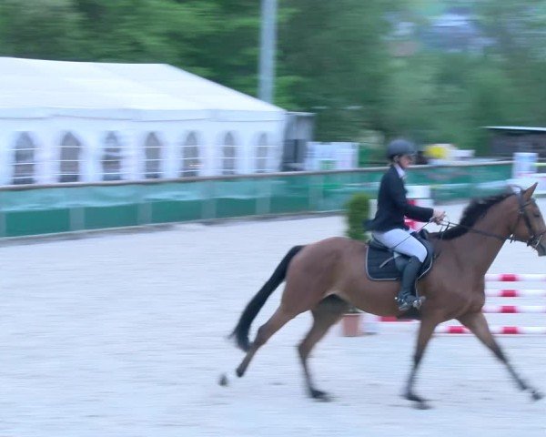 Reitturnier Schüpfheim 2025
