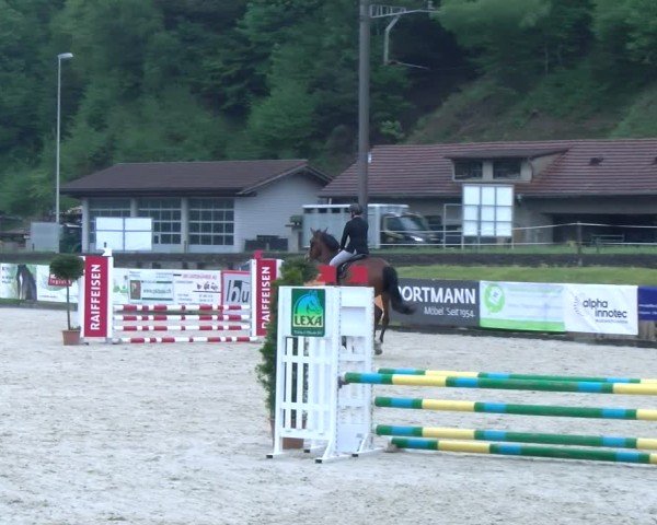 Reitturnier Schüpfheim 2025