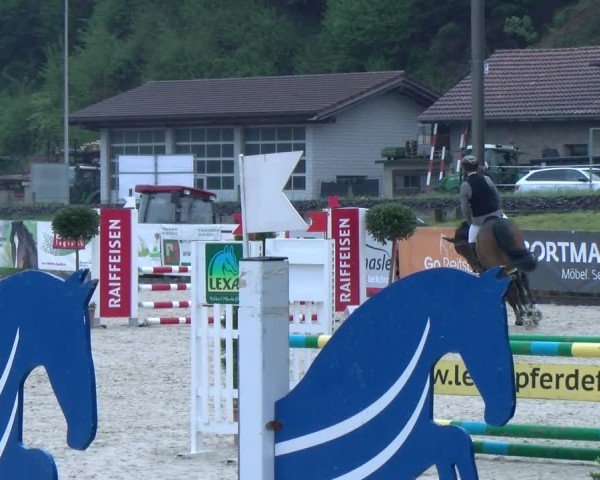 Reitturnier Schüpfheim 2025