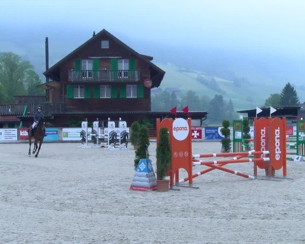 Reitturnier Schüpfheim 2025