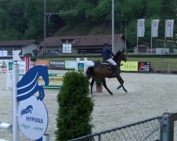 Reitturnier Schüpfheim 2025