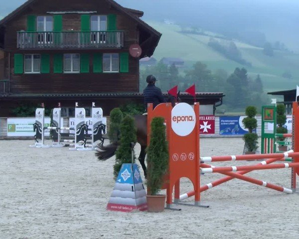 Reitturnier Schüpfheim 2025