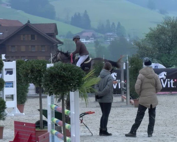 Reitturnier Schüpfheim 2025