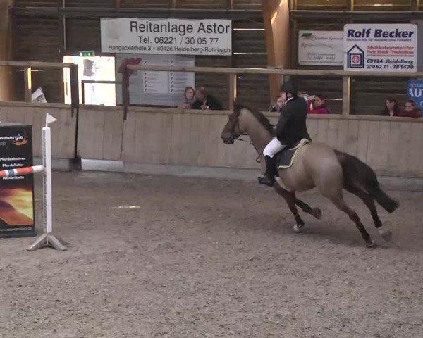 Hallenturnier Heidelberg-Kirchheim 2014