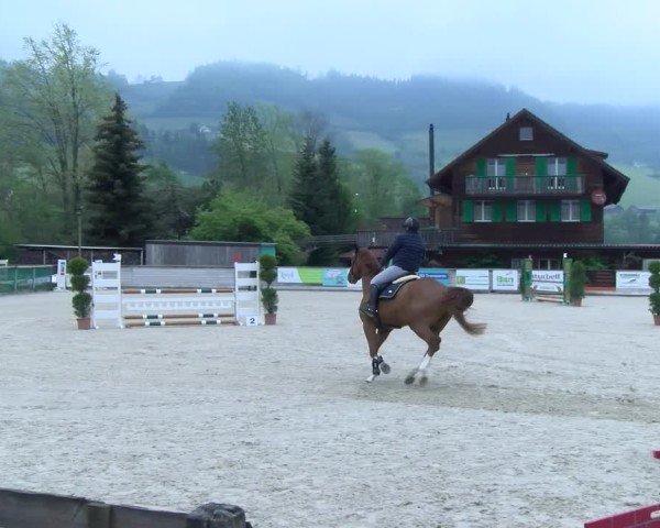 Reitturnier Schüpfheim 2025