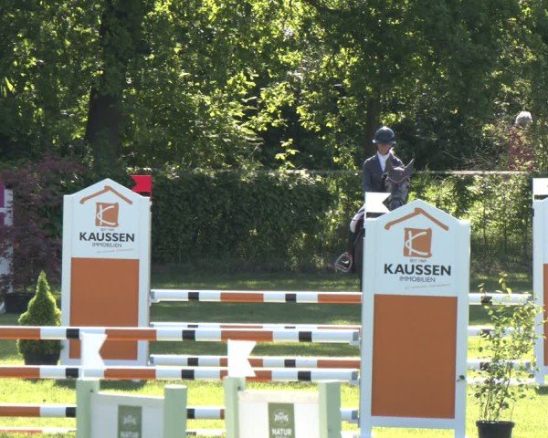 Reitturnier Jülich 2025