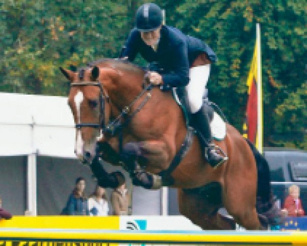 stallion Cosmopolite S (Swedish Warmblood, 1998, from VDL Cardento 933)