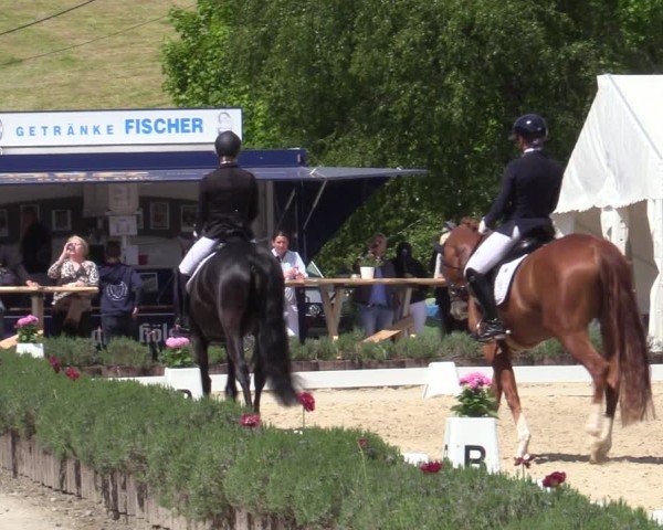 Reitturnier Lindlar - Reitanlage Dückers 2025