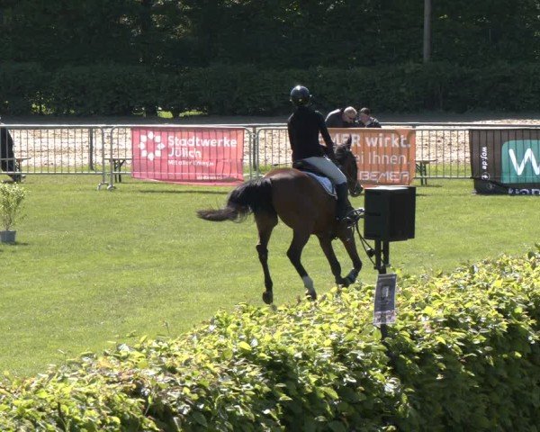 Reitturnier Jülich 2025