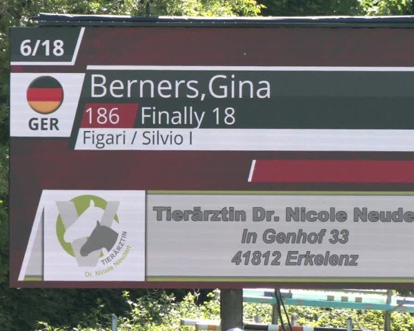 Reitturnier Jülich 2025