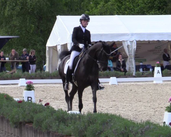 Reitturnier Lindlar - Reitanlage Dückers 2025