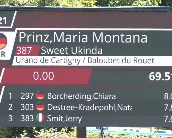 Reitturnier Jülich 2025