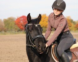 Pferd Kylie Donna (Deutsches Reitpony, 2021, von Kadenzzo)