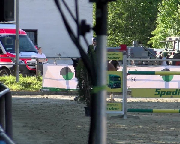 Reitturnier Winnenden 2025