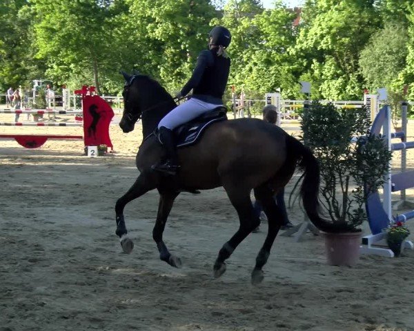 Reitturnier Winnenden 2025