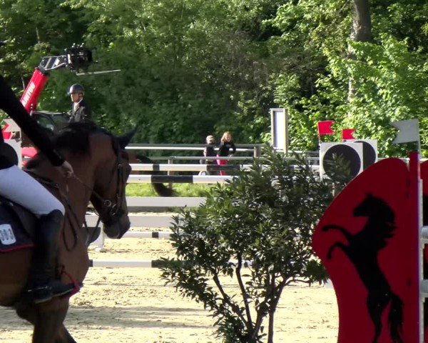 Reitturnier Winnenden 2025