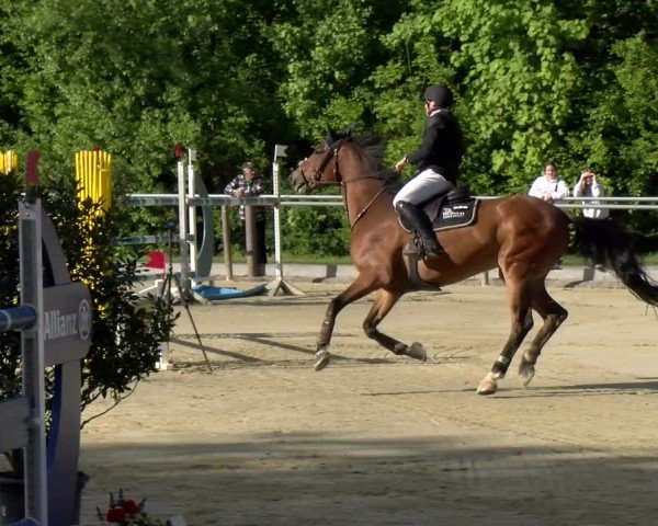 Reitturnier Winnenden 2025
