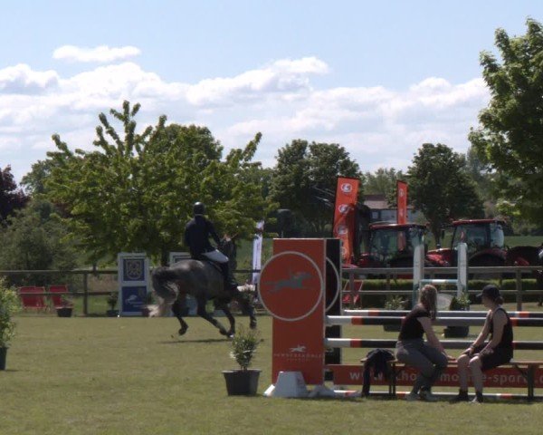 Reitturnier Wilkenburg 2025