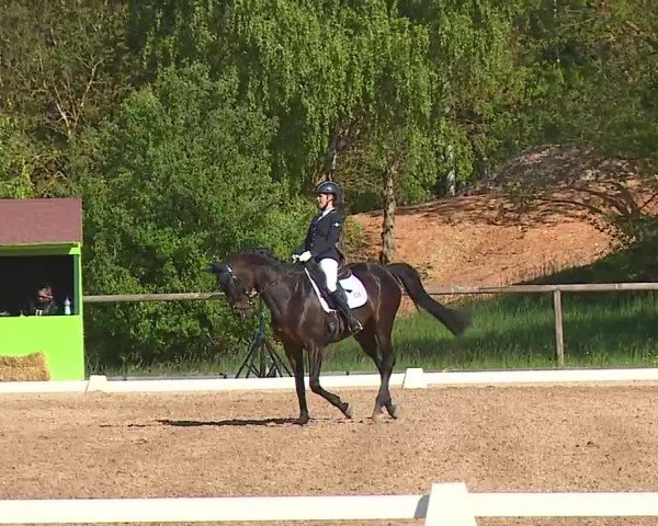 Reitturnier Kreuth/Opf. 2025