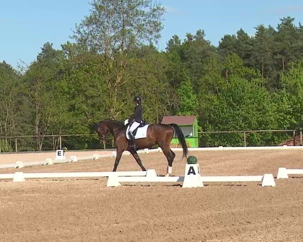 Reitturnier Kreuth/Opf. 2025