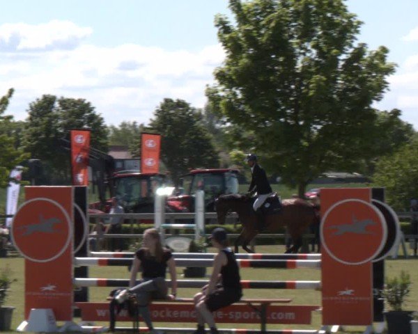 Reitturnier Wilkenburg 2025