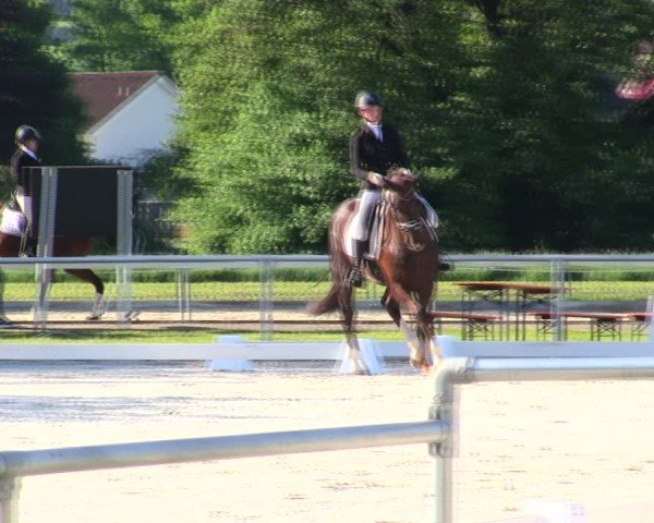 Reitturnier Eichendorf/Ndb. 2025