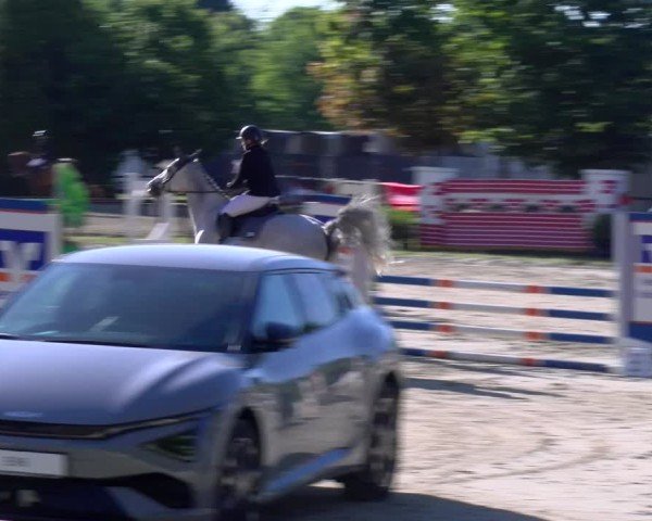 Reitturnier Dorsten 2025
