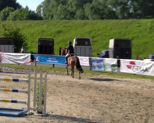 Reitturnier Dorsten 2025