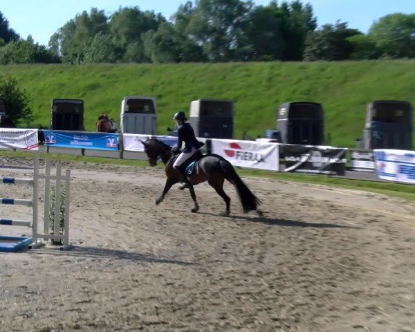 Reitturnier Dorsten 2025