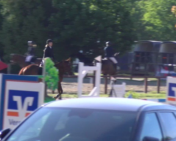 Reitturnier Dorsten 2025
