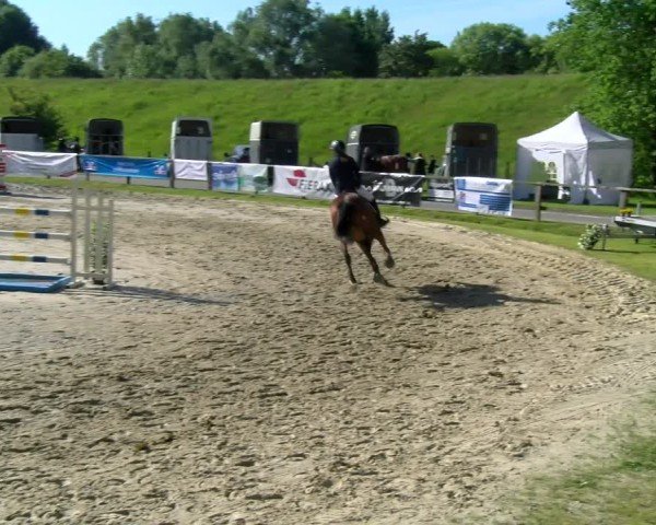 Reitturnier Dorsten 2025