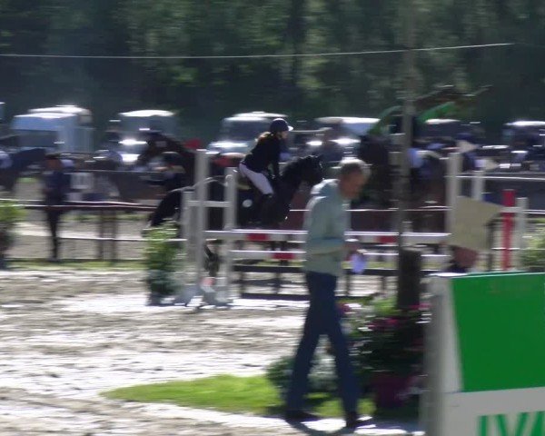 Reitturnier Dorsten 2025