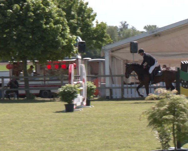 Reitturnier Wilkenburg 2025