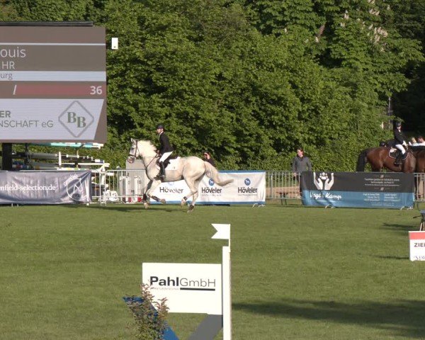 Reitturnier Jülich 2025