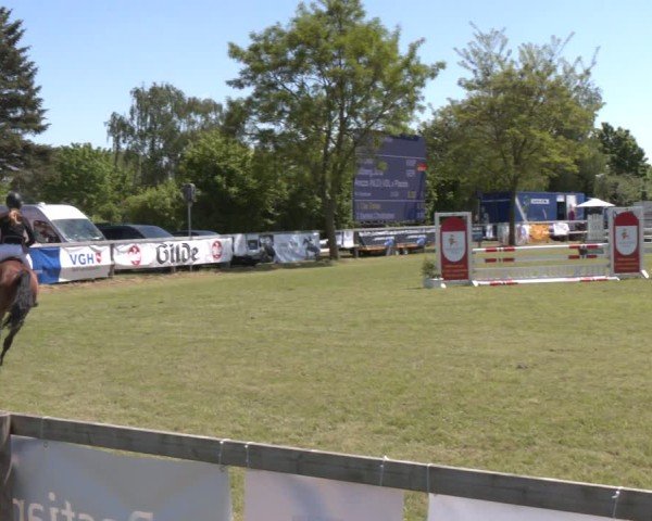 Reitturnier Wilkenburg 2025