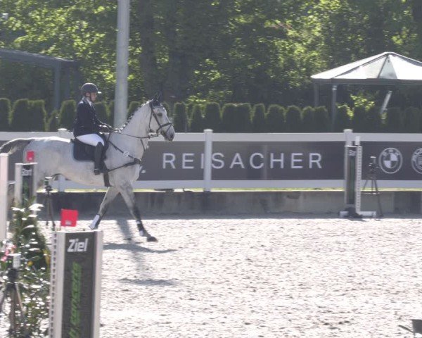 Reitturnier Babenhausen 2025