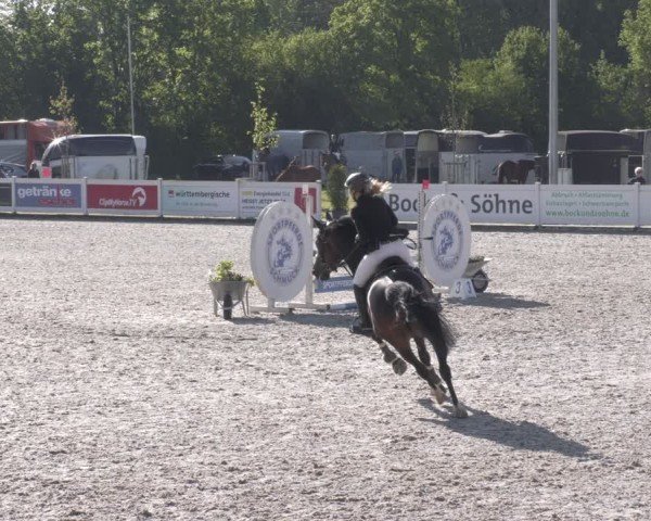 Reitturnier Babenhausen 2025