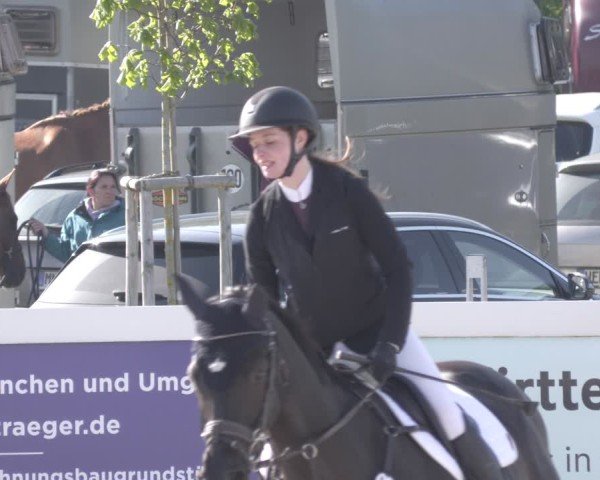 Reitturnier Babenhausen 2025