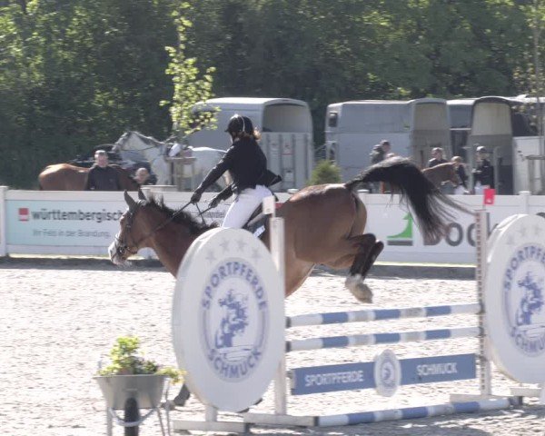 Reitturnier Babenhausen 2025