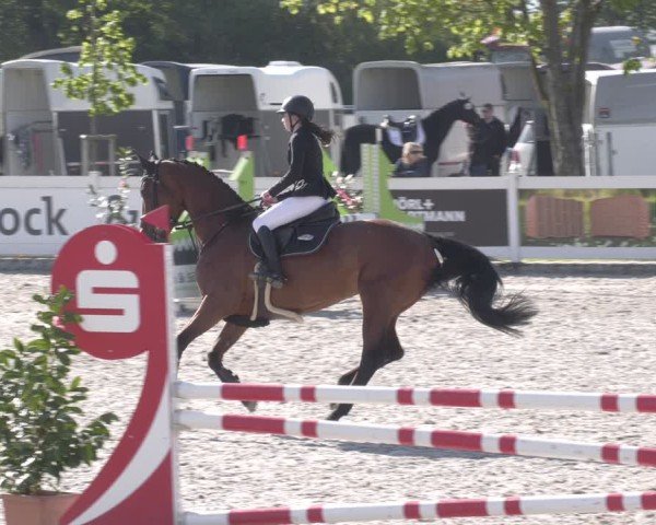 Reitturnier Babenhausen 2025