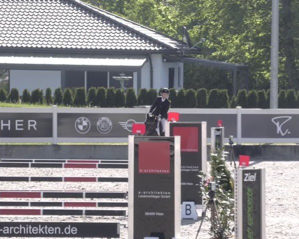 Reitturnier Babenhausen 2025