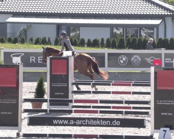 Reitturnier Babenhausen 2025