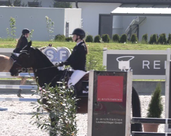 Reitturnier Babenhausen 2025