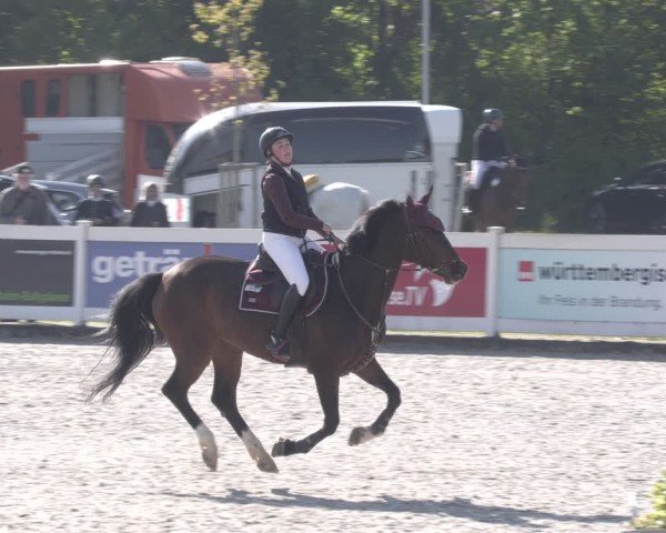Reitturnier Babenhausen 2025