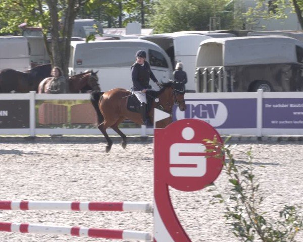 Reitturnier Babenhausen 2025