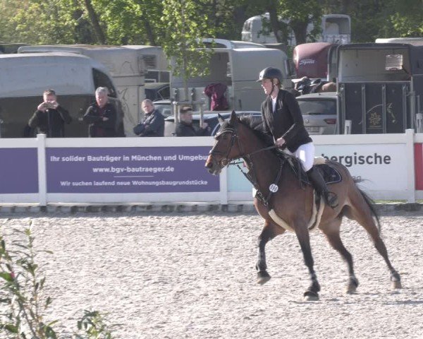 Reitturnier Babenhausen 2025