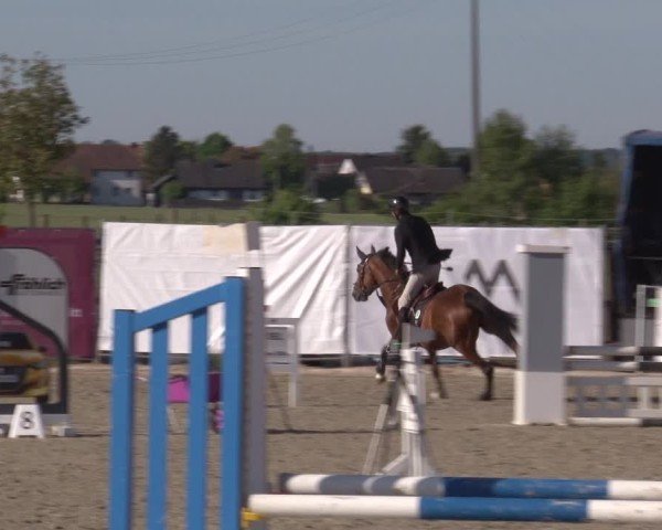Reitturnier Poxdorf/Ofr 2025