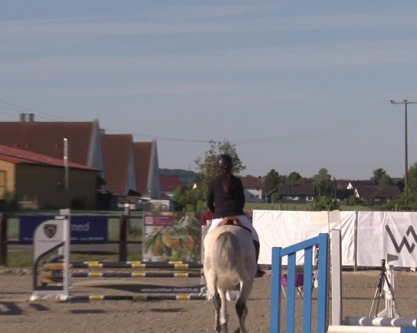 Reitturnier Poxdorf/Ofr 2025